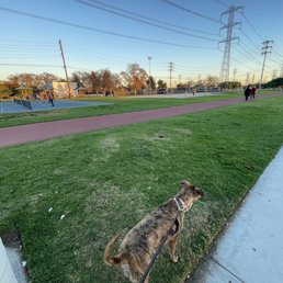 Track