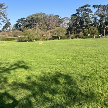 Golden Gate Park Kezar Triangle - Grassy Area - Dog Parks Near Me - San Francisco, California Golden Gate Park Kezar Triangle - Grassy Area - Dog Parks Near Me - San Francisco, California