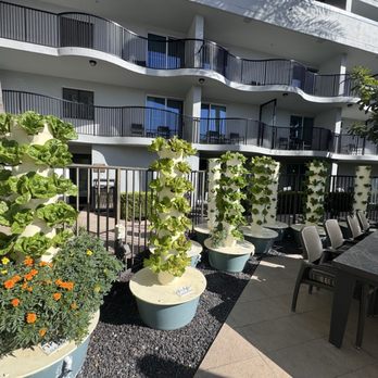 nFuse Restaurant, Bar & Lounge - Garden - New American Near Me - Anaheim, California nFuse Restaurant, Bar & Lounge - Garden - New American Near Me - Anaheim, California
