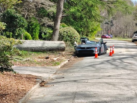 storm damage cleanup before and after - storm damage cleanup. storm damage cleanup before and after - storm damage cleanup.