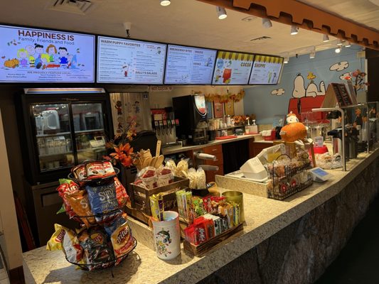 Snoopy's Home Ice by null