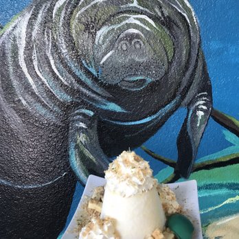 Vampire Penguin - Shaved Snow Near Me - Ellenton, Florida