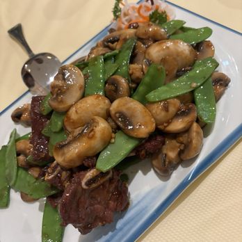 YH Dim Sum - Cantonese Near Me - Jacksonville, Florida