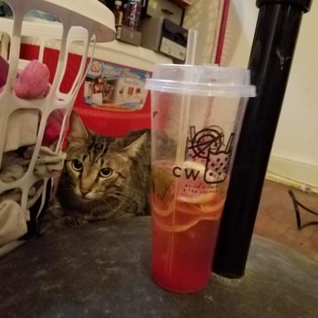 CW Asian Cafe - Boba likes the tween programming on the CW - Bubble Tea Near Me - Katy, Texas CW Asian Cafe - Boba likes the tween programming on the CW - Bubble Tea Near Me - Katy, Texas