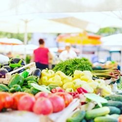 Palmetto Bay Farmer's Market