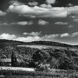 Domaine de Salente - Vraiment,la couleur parfois n'améne rien !
