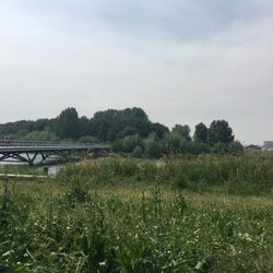 Vrijburcht