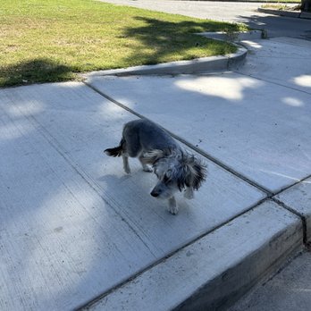 PetSmart Dog Training - Pet Stores Near Me - Bakersfield, California PetSmart Dog Training - Pet Stores Near Me - Bakersfield, California