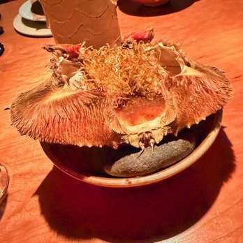 Cove - New American Near Me - New York, New York