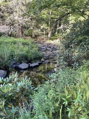 Promised Land State Park by null