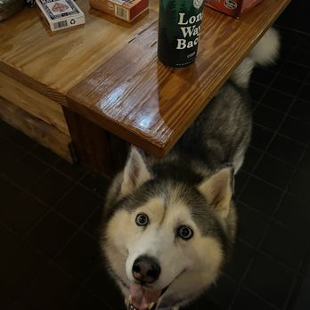 Bad Dog Brewery - Brewpubs Near Me - Torrington, Connecticut