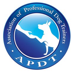 Canine Behavior Solutions and Obedience