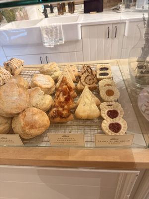 Kitten and the Bear by null