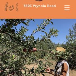 Old Peacefield Orchard - Apple picking at 3803 Wynola Rd