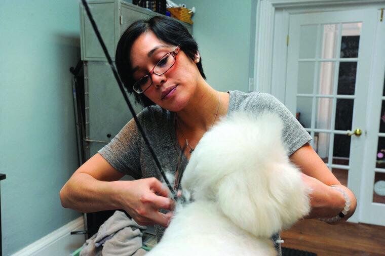 A HANDSOME HOUND GROOMING SALON Updated September 2024 25 Photos