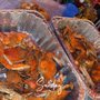 Photo of Happy Times Seafood