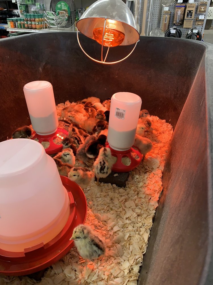 HELMLY BROTHERS ACE HDWE Updated August 2024 650 Railroad Ave