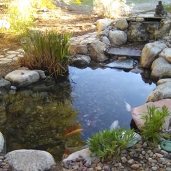 The Pond Digger