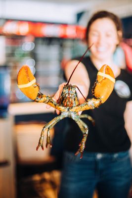 The Nor'Easter Pound & Market by null