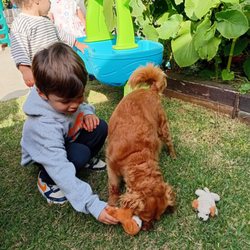 Semillitas Bilingues - A Semillita enjoying a gentle moment with Canela during a curriculum activity focused on learning about animals and kindness.