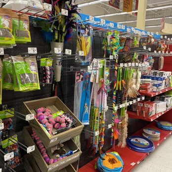 Petco - Cat aisle! So many really cool things for a kitten and adult cat. - Pet Stores Near Me - Temple, Texas Petco - Cat aisle! So many really cool things for a kitten and adult cat. - Pet Stores Near Me - Temple, Texas