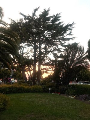 Viña del Mar Park by null