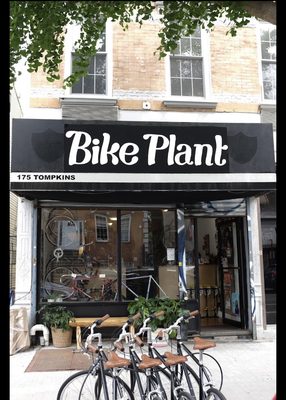 Bike Plant by null