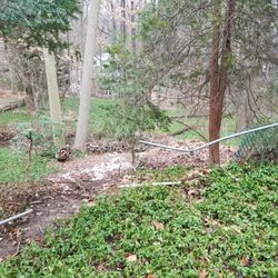 JP Tree Service