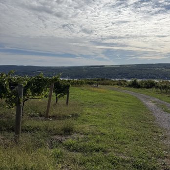 Konstantin Frank Winery - Wine Tours Near Me - Hammondsport, New York