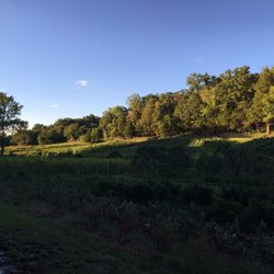 Claverach Farm - Portion of the garden.