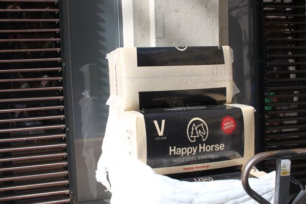 Spanish Riding School by null