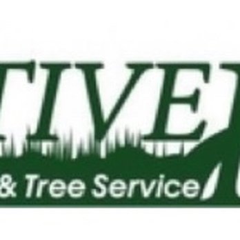 Creative Edge Outdoor Solutions - Logo - Landscape Architects or Designers Near Me - Lakeland, Florida Creative Edge Outdoor Solutions - Logo - Landscape Architects or Designers Near Me - Lakeland, Florida