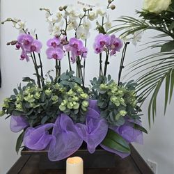 Lily Florist