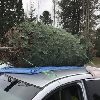 Springwater Trees Christmas Trees - Packing it up to leave - Christmas Trees Near Me - Oregon City, Oregon Springwater Trees Christmas Trees - Packing it up to leave - Christmas Trees Near Me - Oregon City, Oregon