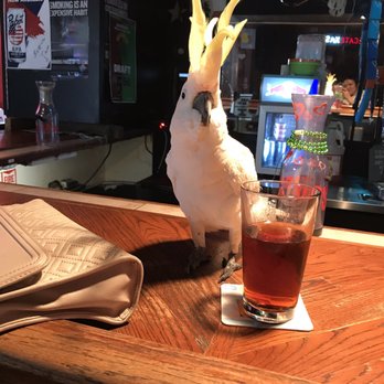 Lone Star Saloon - Dive Bars Near Me - Houston, Texas Lone Star Saloon - Dive Bars Near Me - Houston, Texas