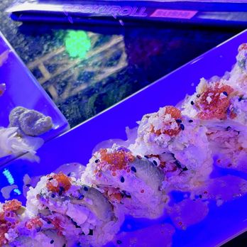 Rock N Roll Sushi - Rockin Lobster - Sushi Bars Near Me - Tucson, Arizona Rock N Roll Sushi - Rockin Lobster - Sushi Bars Near Me - Tucson, Arizona