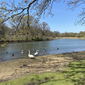 Brookville Park - The pond - Parks Near Me