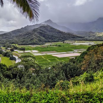Hanalei Valley Lookout - Taro Fields - Landmarks & Historical Buildings Near Me - Princeville, Hawaii Hanalei Valley Lookout - Taro Fields - Landmarks & Historical Buildings Near Me - Princeville, Hawaii