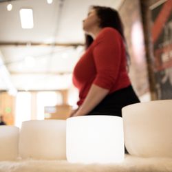 Divine Wild Healing - Sound Healing with Crystal Singing Bowls