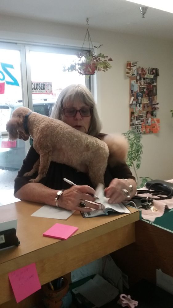 ZOOMIN’ GROOMING Updated October 2024 715 Kensington Ave, Missoula, Montana Pet Groomers