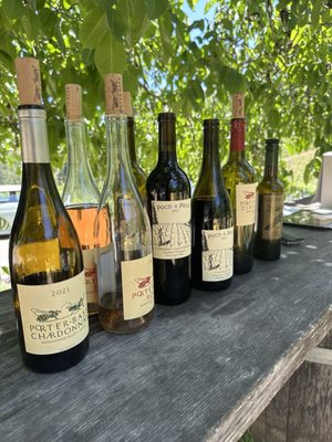 Porter-Bass Winery by null