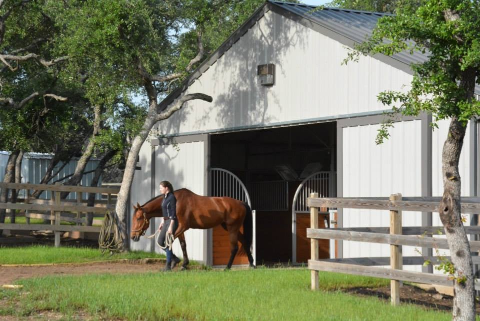 Coraggio Equestrian - equestrian in Austin, TX
