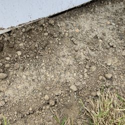 Cracking dirt surface