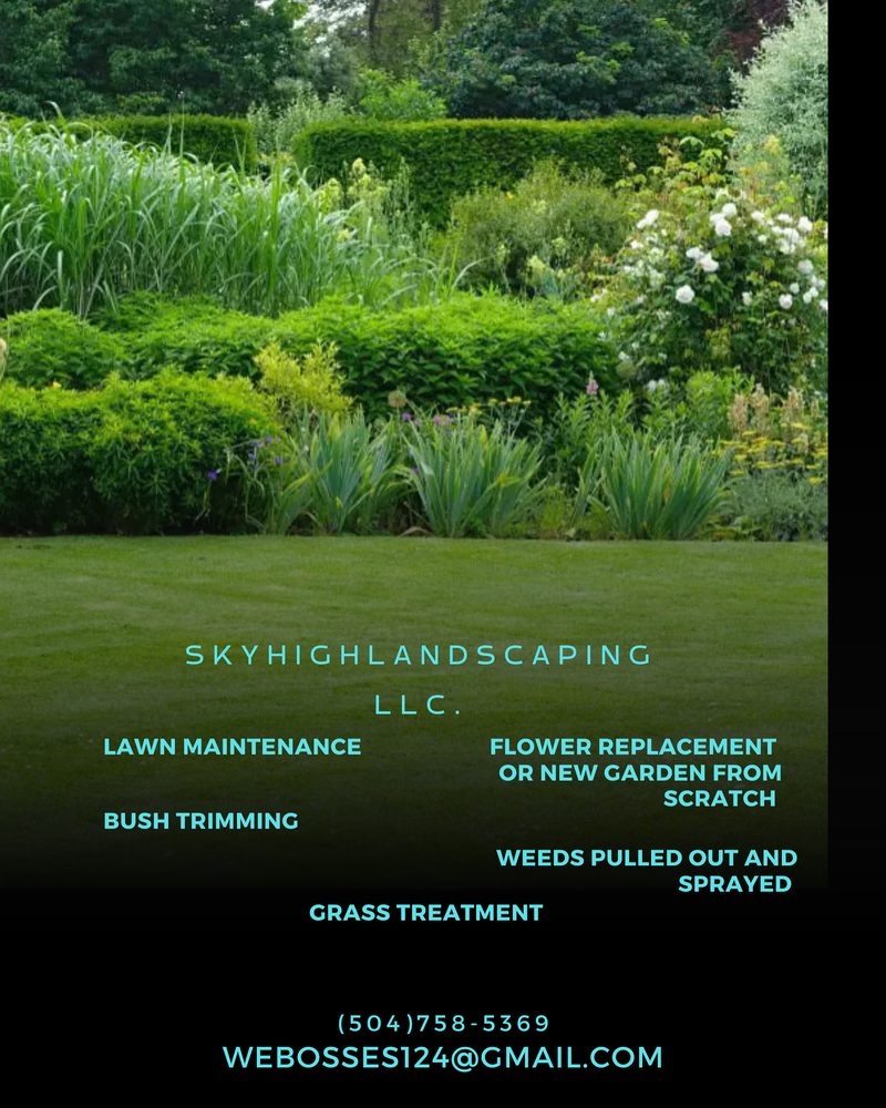 Sky High Lawn Care - tree service in New Orleans, LA