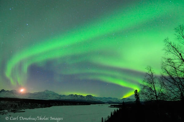 Expeditions Alaska by null