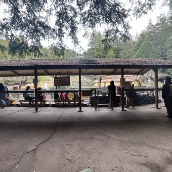 Golden Gate Live Steamers - Steam train bench seat. No age restriction! Just hold your kiddos - Social Clubs Near Me - Berkeley, California