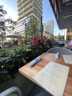 The Pearl Tampa by null