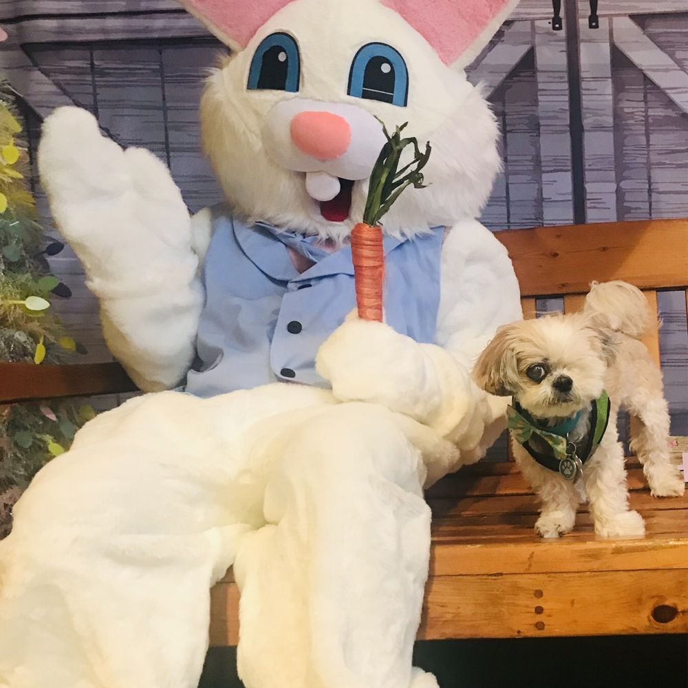 Mocha Coconut and the Easter Bunny