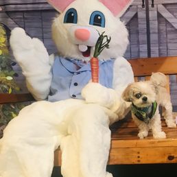 Mocha Coconut and the Easter Bunny