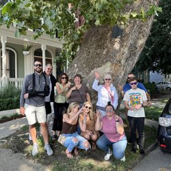 Buffalo Pedal Tours - Visit Buffalo's oldest tree